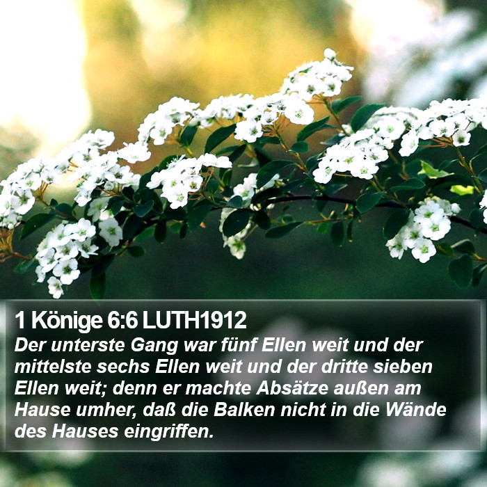 1 Könige 6:6 LUTH1912 Bible Study