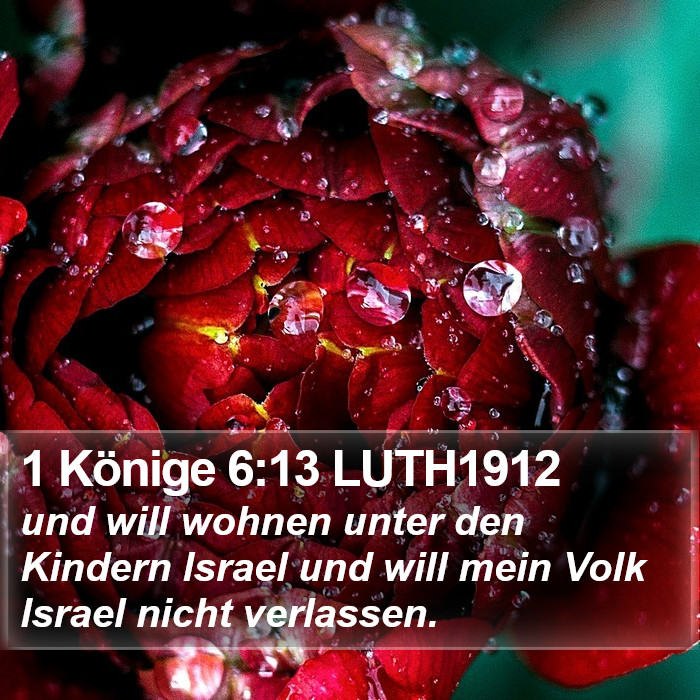 1 Könige 6:13 LUTH1912 Bible Study