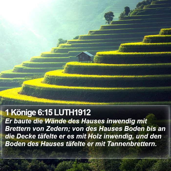 1 Könige 6:15 LUTH1912 Bible Study