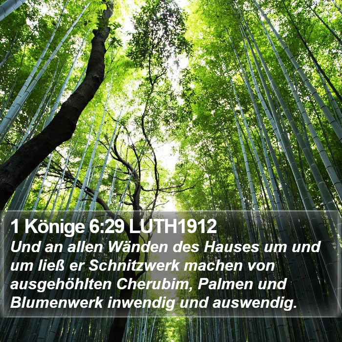 1 Könige 6:29 LUTH1912 Bible Study