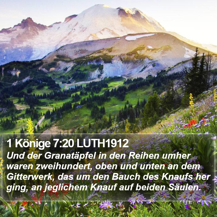 1 Könige 7:20 LUTH1912 Bible Study
