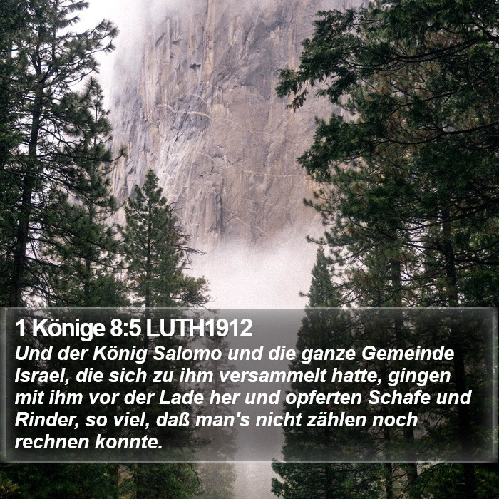 1 Könige 8:5 LUTH1912 Bible Study