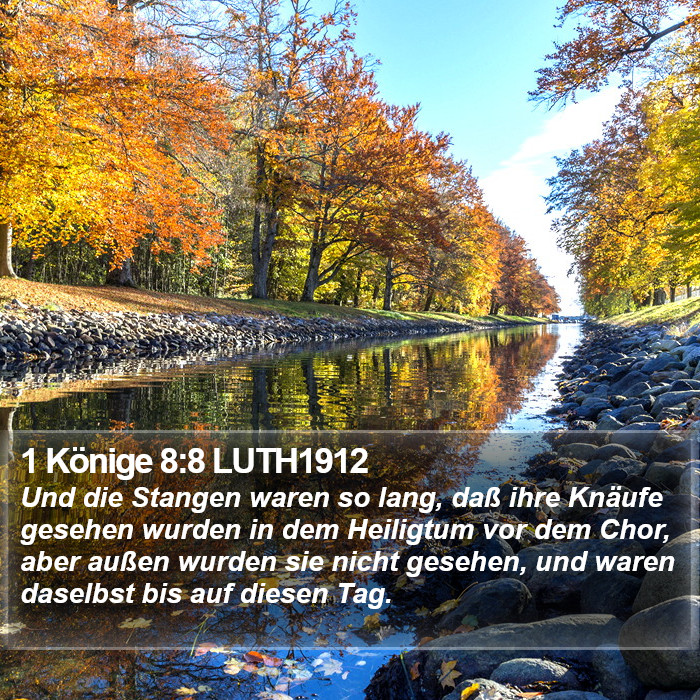1 Könige 8:8 LUTH1912 Bible Study