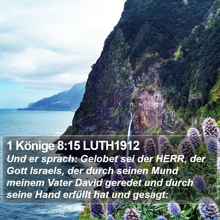 1 Könige 8:15 LUTH1912 Bible Study