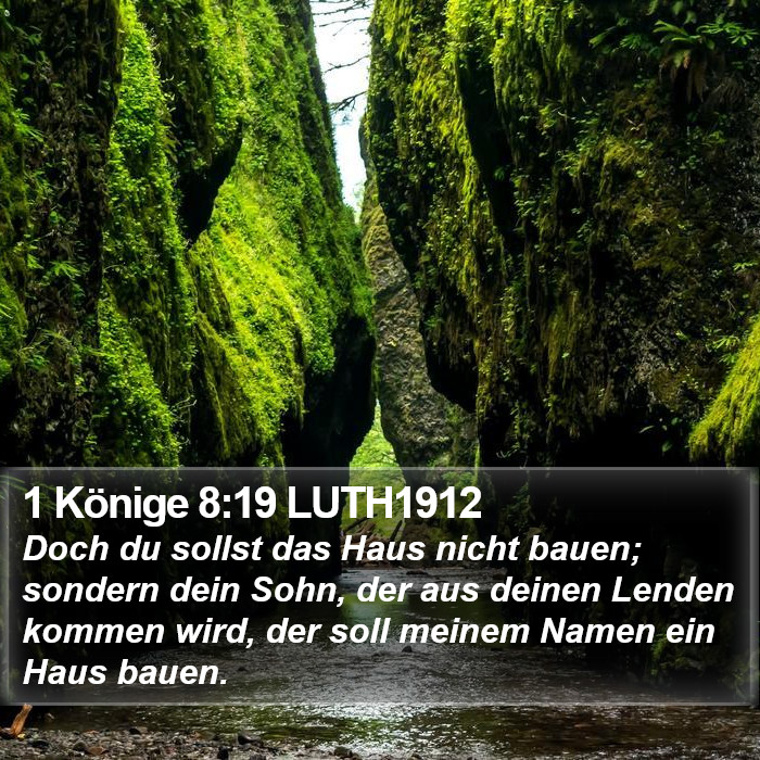 1 Könige 8:19 LUTH1912 Bible Study