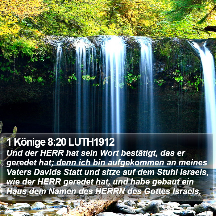 1 Könige 8:20 LUTH1912 Bible Study