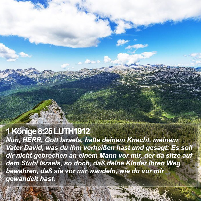 1 Könige 8:25 LUTH1912 Bible Study