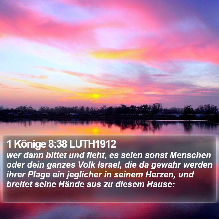 1 Könige 8:38 LUTH1912 Bible Study