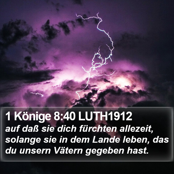 1 Könige 8:40 LUTH1912 Bible Study