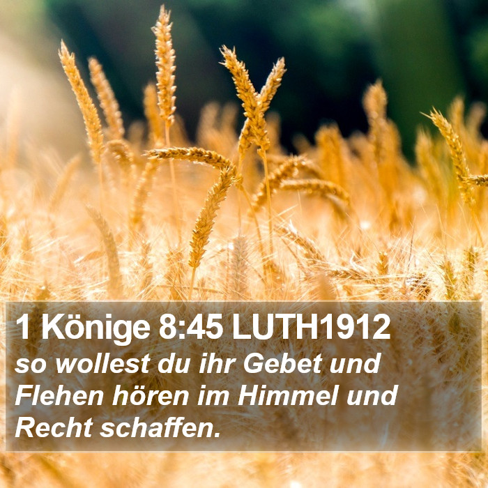1 Könige 8:45 LUTH1912 Bible Study