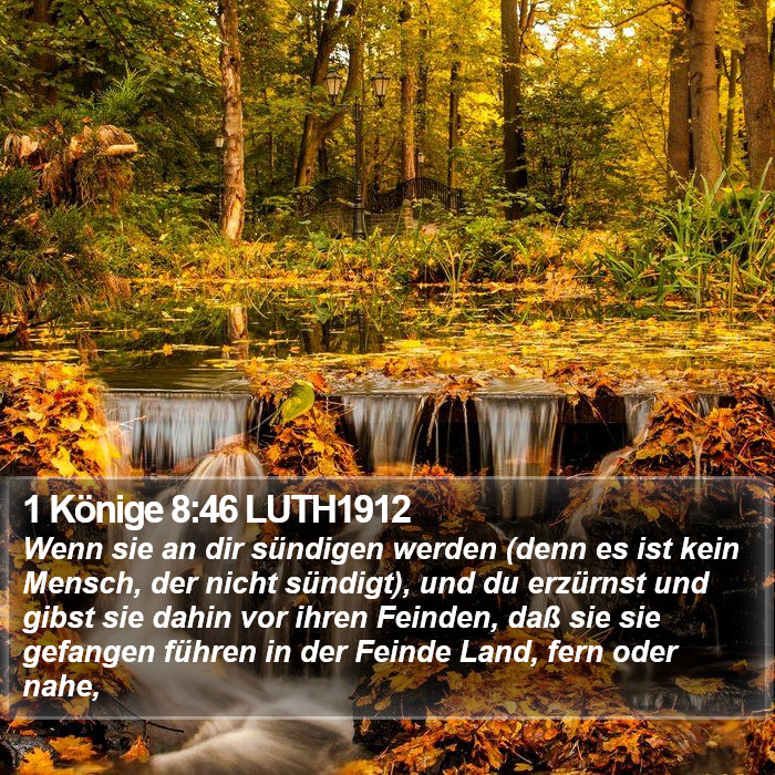 1 Könige 8:46 LUTH1912 Bible Study