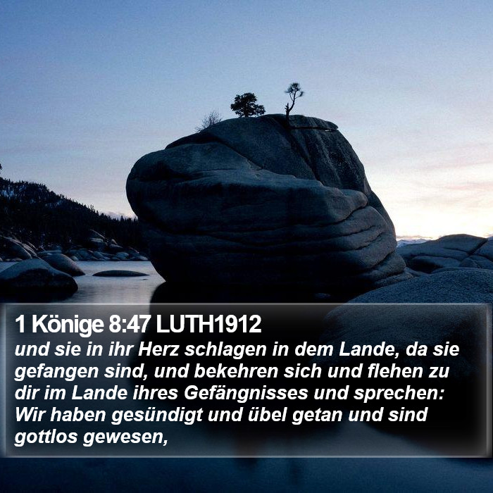 1 Könige 8:47 LUTH1912 Bible Study