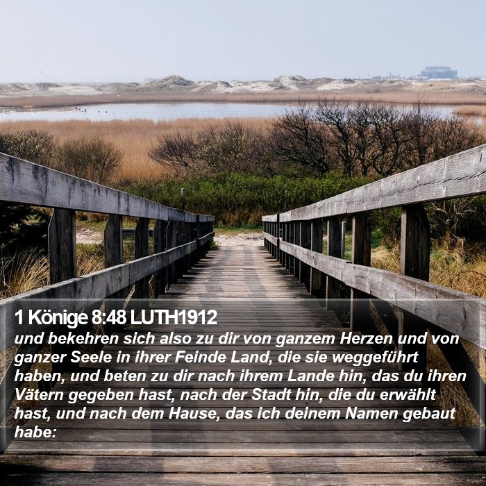 1 Könige 8:48 LUTH1912 Bible Study