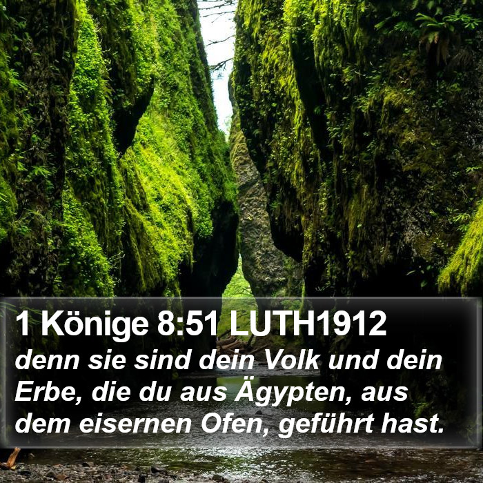 1 Könige 8:51 LUTH1912 Bible Study