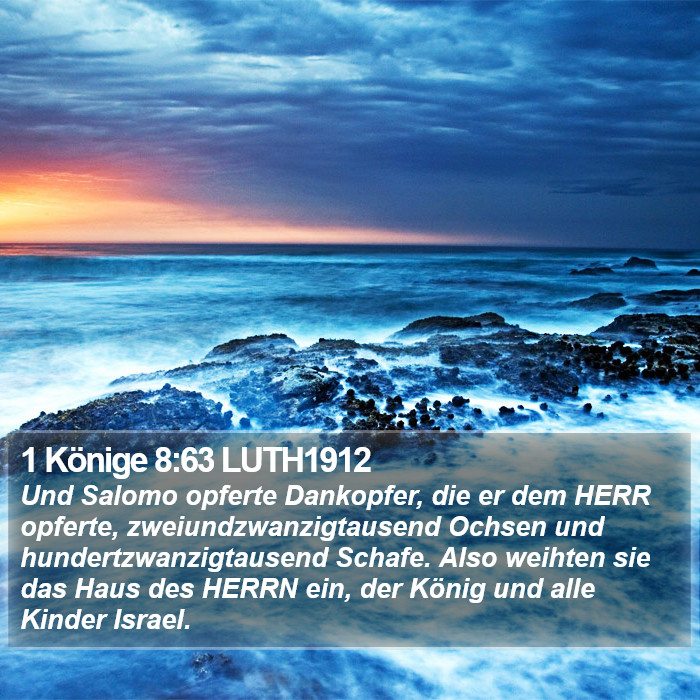 1 Könige 8:63 LUTH1912 Bible Study