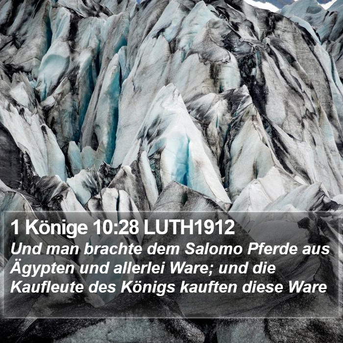 1 Könige 10:28 LUTH1912 Bible Study