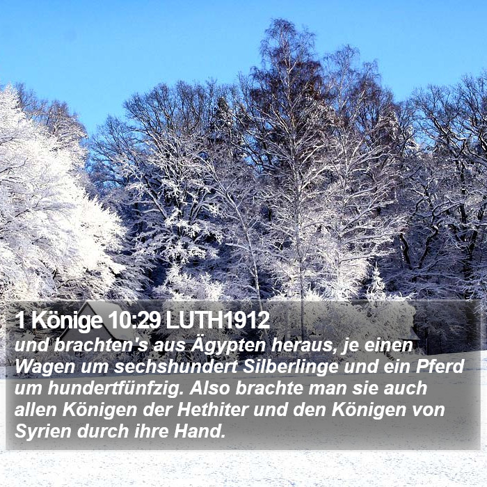 1 Könige 10:29 LUTH1912 Bible Study