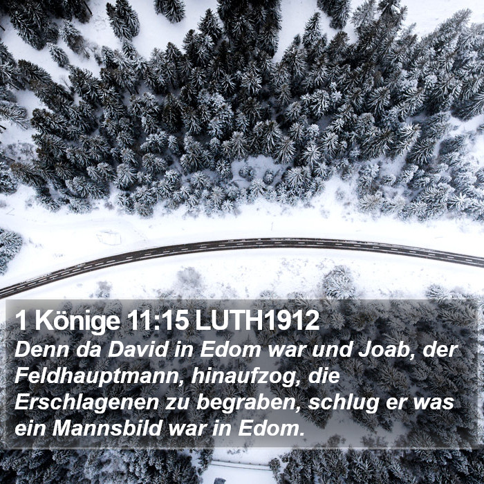 1 Könige 11:15 LUTH1912 Bible Study