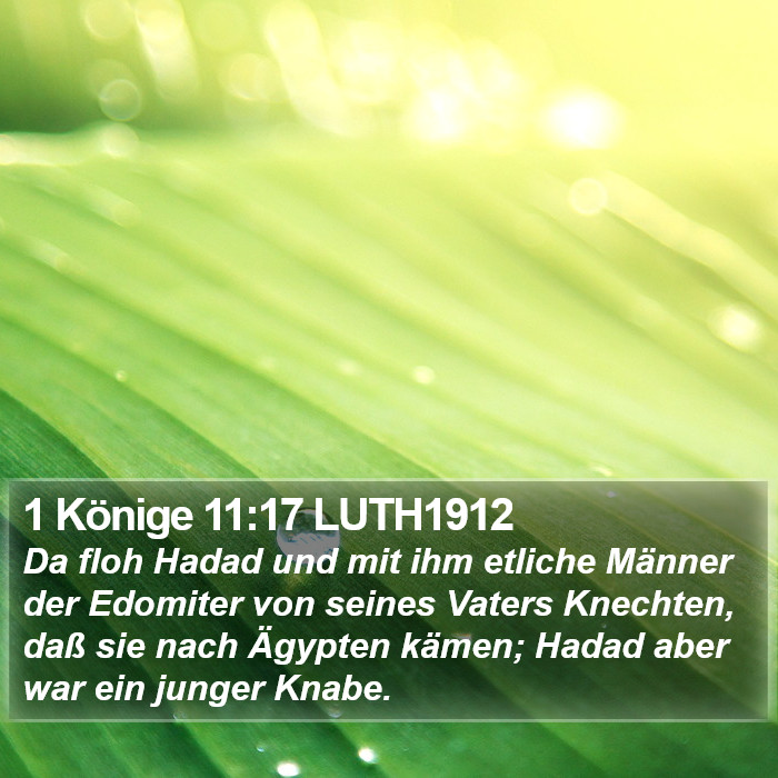 1 Könige 11:17 LUTH1912 Bible Study