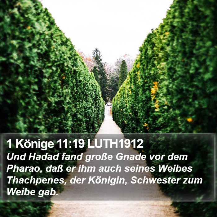 1 Könige 11:19 LUTH1912 Bible Study