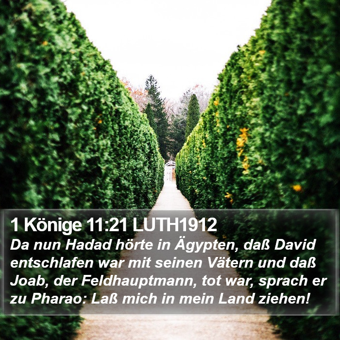1 Könige 11:21 LUTH1912 Bible Study