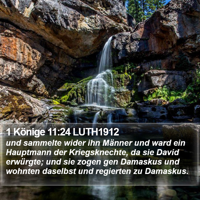 1 Könige 11:24 LUTH1912 Bible Study