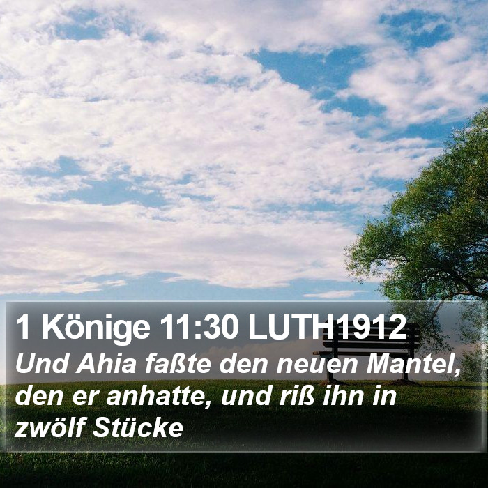 1 Könige 11:30 LUTH1912 Bible Study