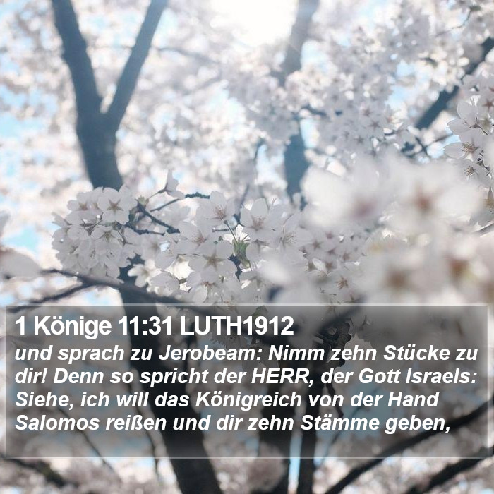 1 Könige 11:31 LUTH1912 Bible Study