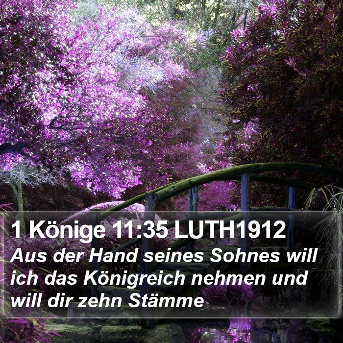 1 Könige 11:35 LUTH1912 Bible Study