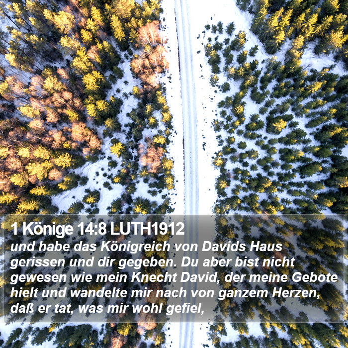 1 Könige 14:8 LUTH1912 Bible Study
