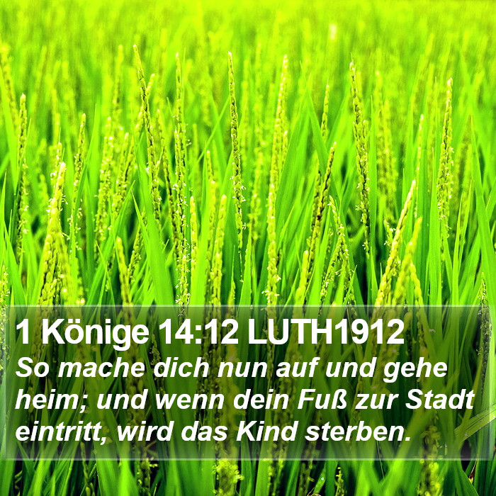 1 Könige 14:12 LUTH1912 Bible Study