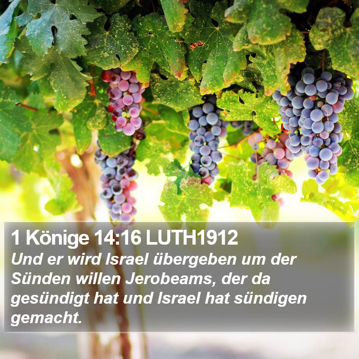 1 Könige 14:16 LUTH1912 Bible Study