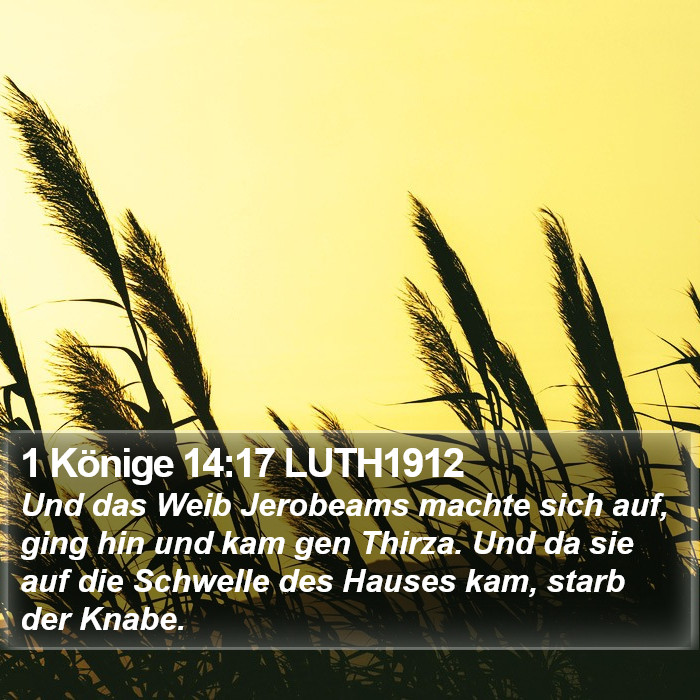 1 Könige 14:17 LUTH1912 Bible Study