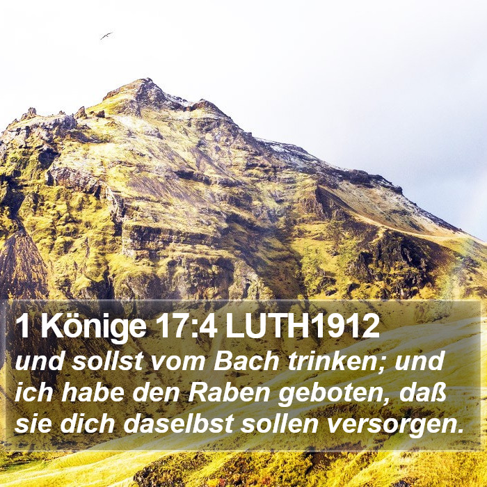 1 Könige 17:4 LUTH1912 Bible Study