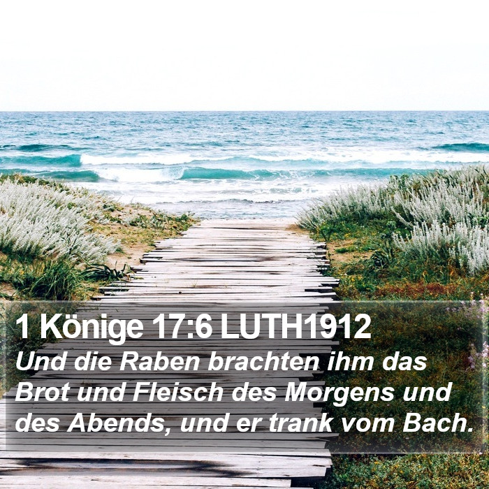 1 Könige 17:6 LUTH1912 Bible Study