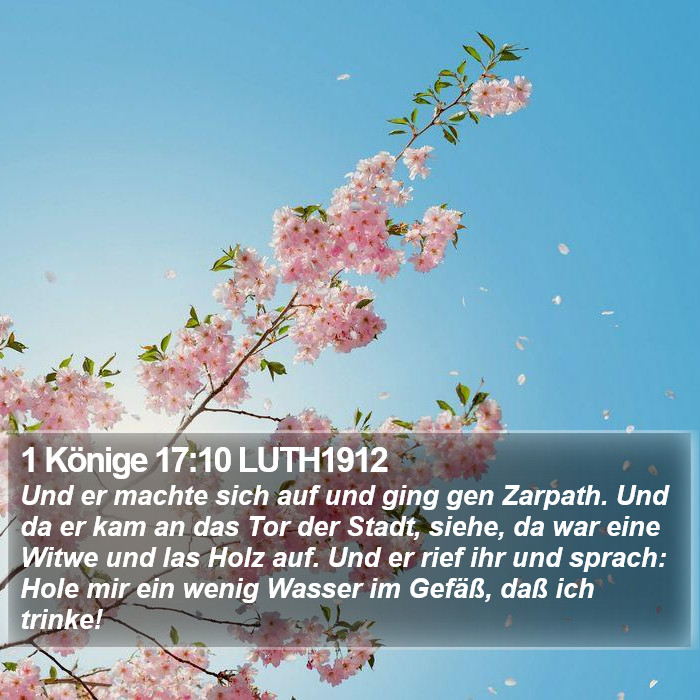 1 Könige 17:10 LUTH1912 Bible Study