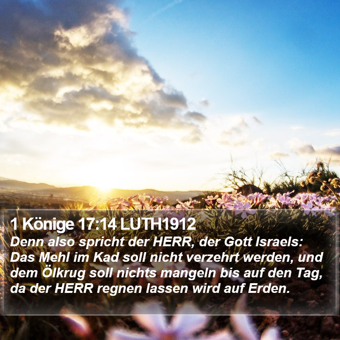 1 Könige 17:14 LUTH1912 Bible Study