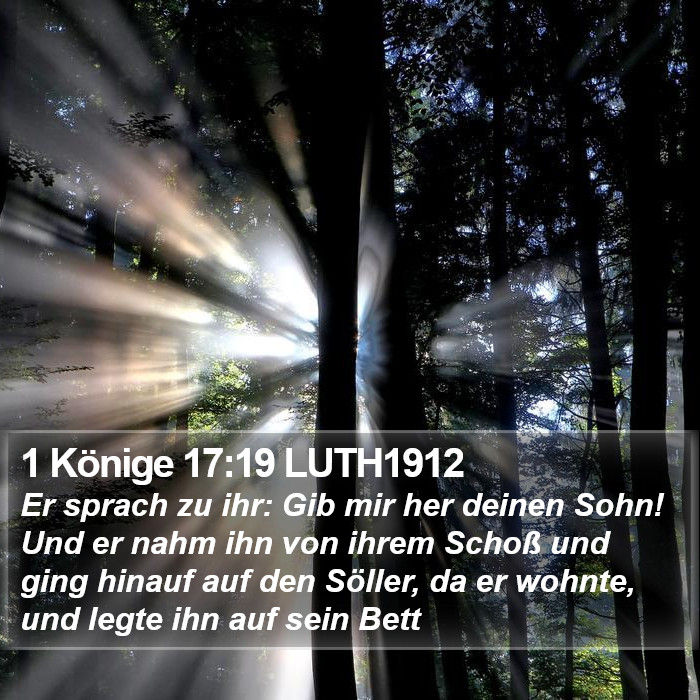1 Könige 17:19 LUTH1912 Bible Study