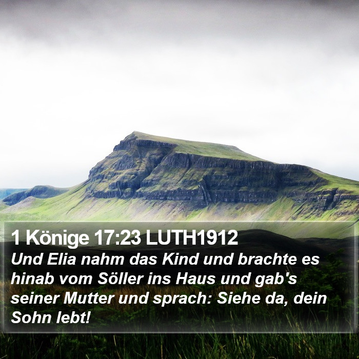 1 Könige 17:23 LUTH1912 Bible Study