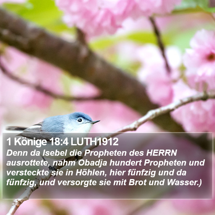 1 Könige 18:4 LUTH1912 Bible Study