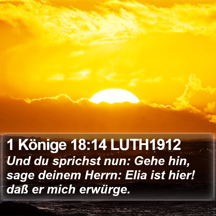 1 Könige 18:14 LUTH1912 Bible Study