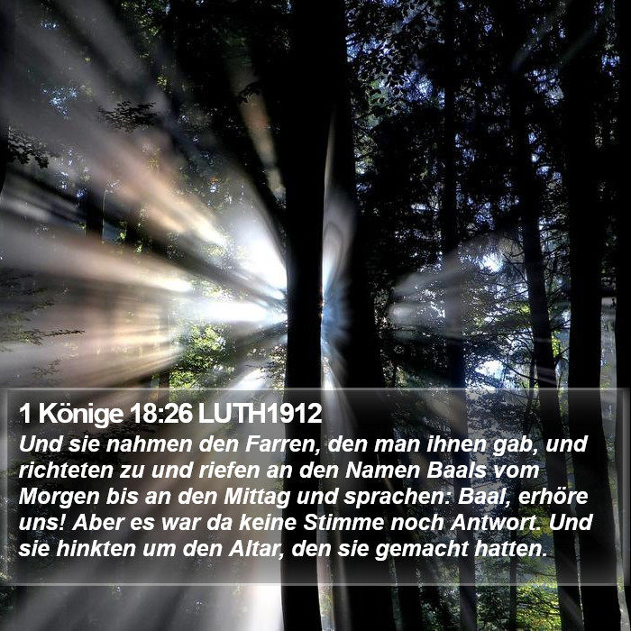 1 Könige 18:26 LUTH1912 Bible Study