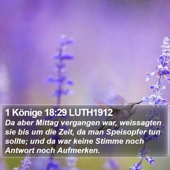 1 Könige 18:29 LUTH1912 Bible Study