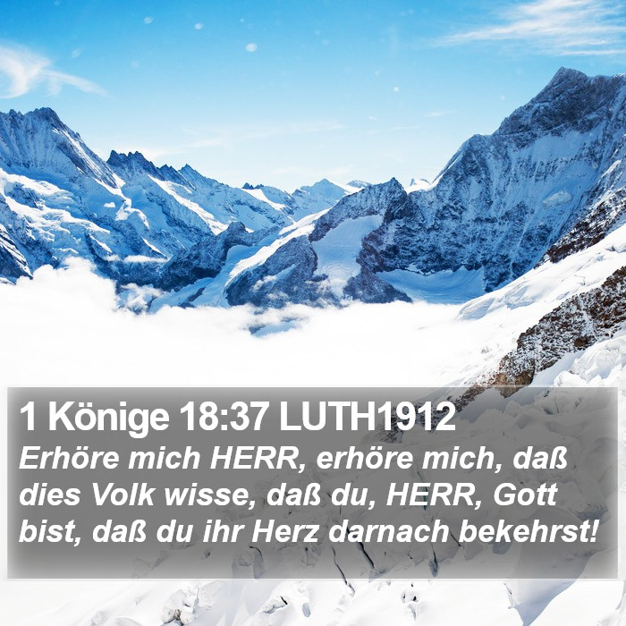 1 Könige 18:37 LUTH1912 Bible Study