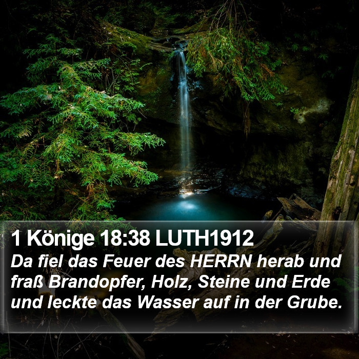 1 Könige 18:38 LUTH1912 Bible Study