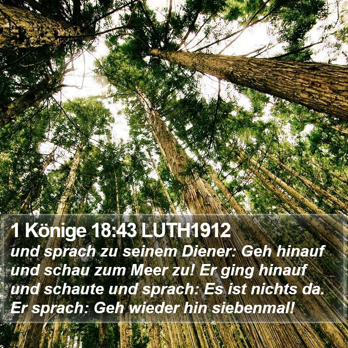 1 Könige 18:43 LUTH1912 Bible Study