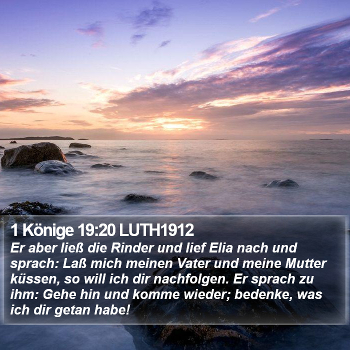 1 Könige 19:20 LUTH1912 Bible Study