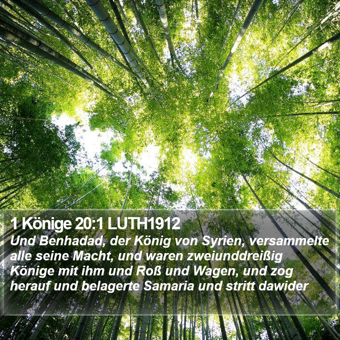 1 Könige 20:1 LUTH1912 Bible Study