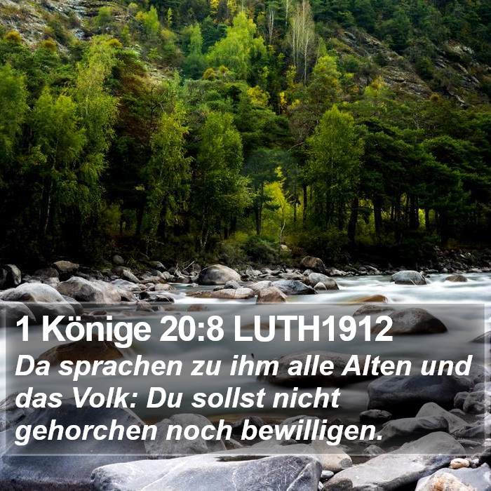 1 Könige 20:8 LUTH1912 Bible Study