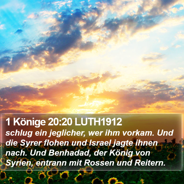 1 Könige 20:20 LUTH1912 Bible Study